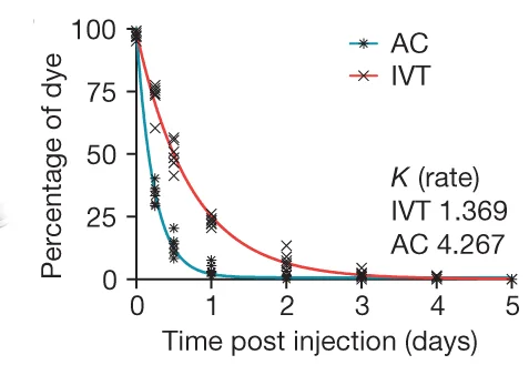 Open access visualization of Line Plot, Scatter Plot, C57BL/6J Mice, Dye, AC Injection