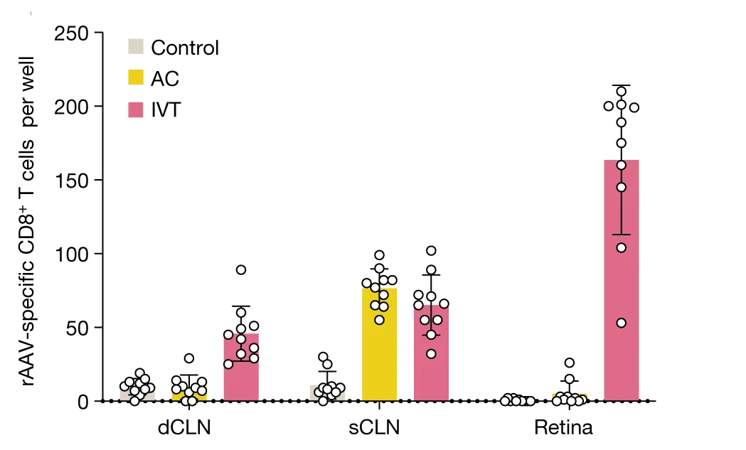 Open access visualization of Bar Plot, Error Bars, Scatter Plot, rAAV-RFP, IVT