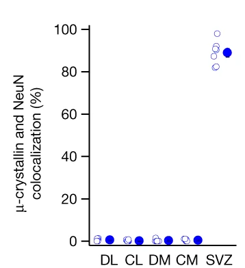 Open access visualization of Scatter Plot, Astrocytes, S100, SOX9, Neurons