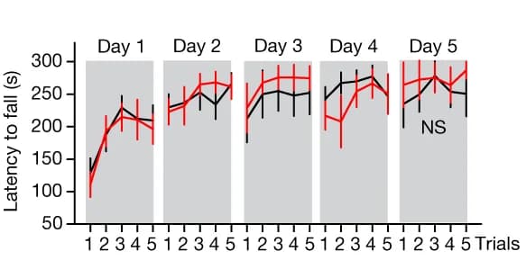 Open access visualization of Line Plot, Error Bars, Rotarod, Mice, Two-Way Repeated-Measures ANOVA