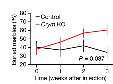 Open access visualization of Line Plot, Error Bars, Buried Marbles, AAV Injection, Mice
