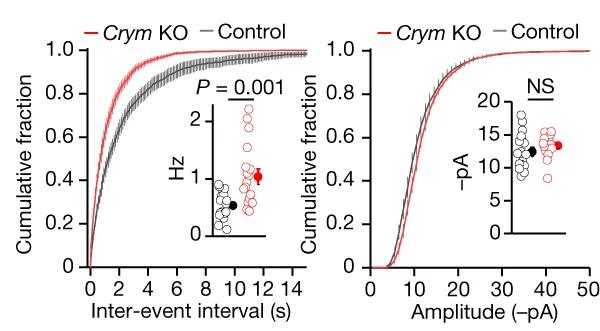 Open access visualization of Line Plot, Error Bars, Scatter Plot, Cumulative Probability Graphs, Inter-event Interval