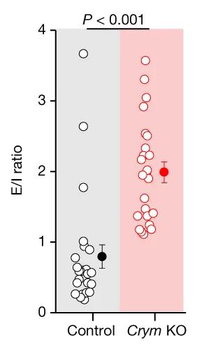 Open access visualization of Scatter Plot, Error Bars, Excitatory/Inhibitory Ratios, Two-tailed MannWhitney Test