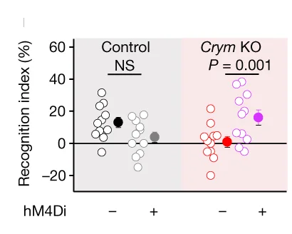 Open access visualization of Scatter Plot, Error Bars, Distance Travelled, Open Field Test, Grooming
