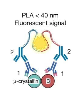 Open access visualization of Illustration, PLA, Schematic