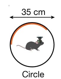 Open access visualization of Illustration, Open Arena, Visual Cues