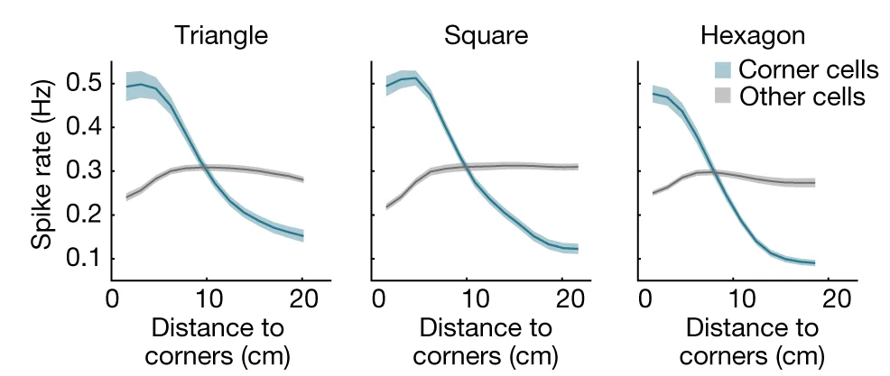 Open access visualization of Line Plot, Error Bars, Spike Rates, Mice