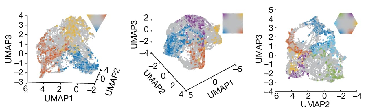 Open access visualization of UMAP, Scatter Plot, 3D Plot, Subiculum, Population Activity