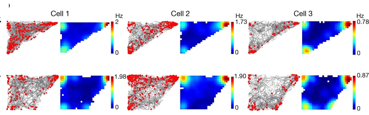 Step-by-Step Guide: How to Use Plottie.art to Find the Perfect Scientific Figure