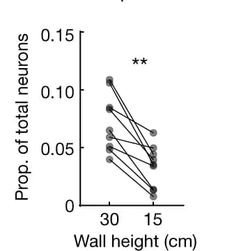 Open access visualization of Line Plot, Scatter Plot, Corner Cells, Square Size, Mice