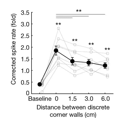 Open access visualization of Line Plot, Error Bars, Scatter Plot, Peak Spike Rates, Corner Cells