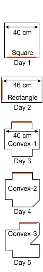 Open access visualization of Illustration, Arenas, Concave Corners, Convex Corners, Visual Cues