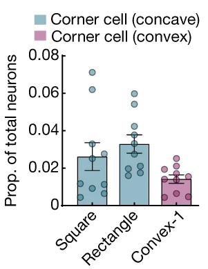 Open access visualization of Bar Plot, Error Bars, Scatter Plot, Corner Cells, Square