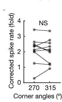 Open access visualization of Line Plot, Scatter Plot, Peak Spike Rates, Corner Cells, Convex Corners