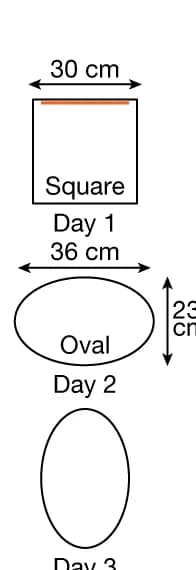 Open access visualization of Illustration, Arenas, Visual Cues