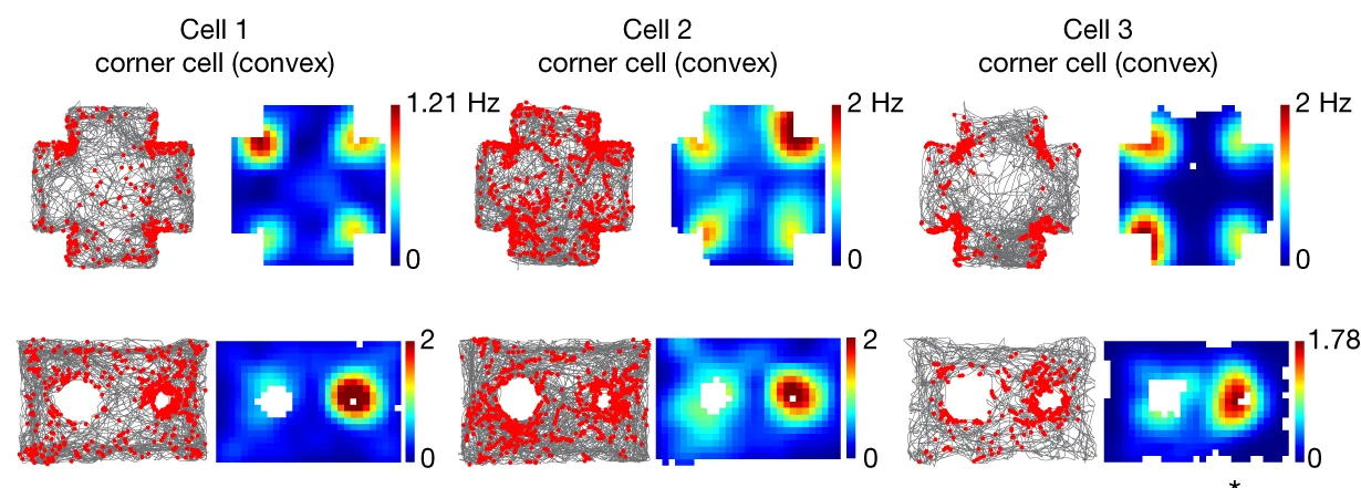 Open access visualization of Heatmap, Scatter Plot, Line Plot, Raster Plots, Rate Maps