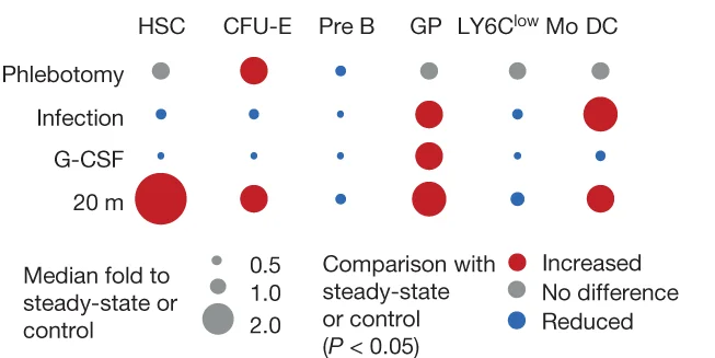 Open access visualization of Bubble Plot, Heat Map, Long Bones, Erythropoiesis, Lymphopoiesis