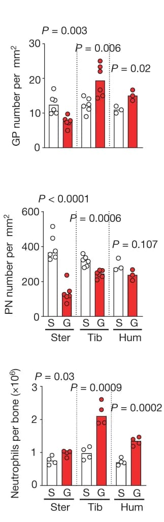 Open access visualization of Bar Plot, Scatter Plot, G-CSF, Sternum, Granulocyte Progenitors