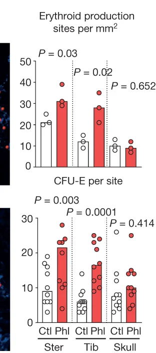 Open access visualization of Bar Plot, Scatter Plot, Erythroid Production Site, Frequency, CFU-Es