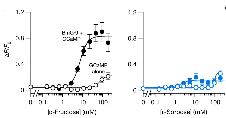Open access visualization of Line Plot, Error Bars, Dose-Response, Fluorescence, HEK293 Cells