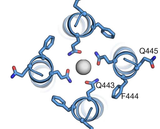 Open access visualization of Protein Structure, 3D Plot, Chemical Structure, Pore Helices, d-Fructose