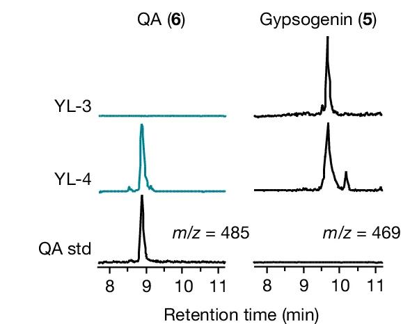 Open access visualization of Line Plot, TMD C28-C16, Gypsogenin, QA, Functional Expression