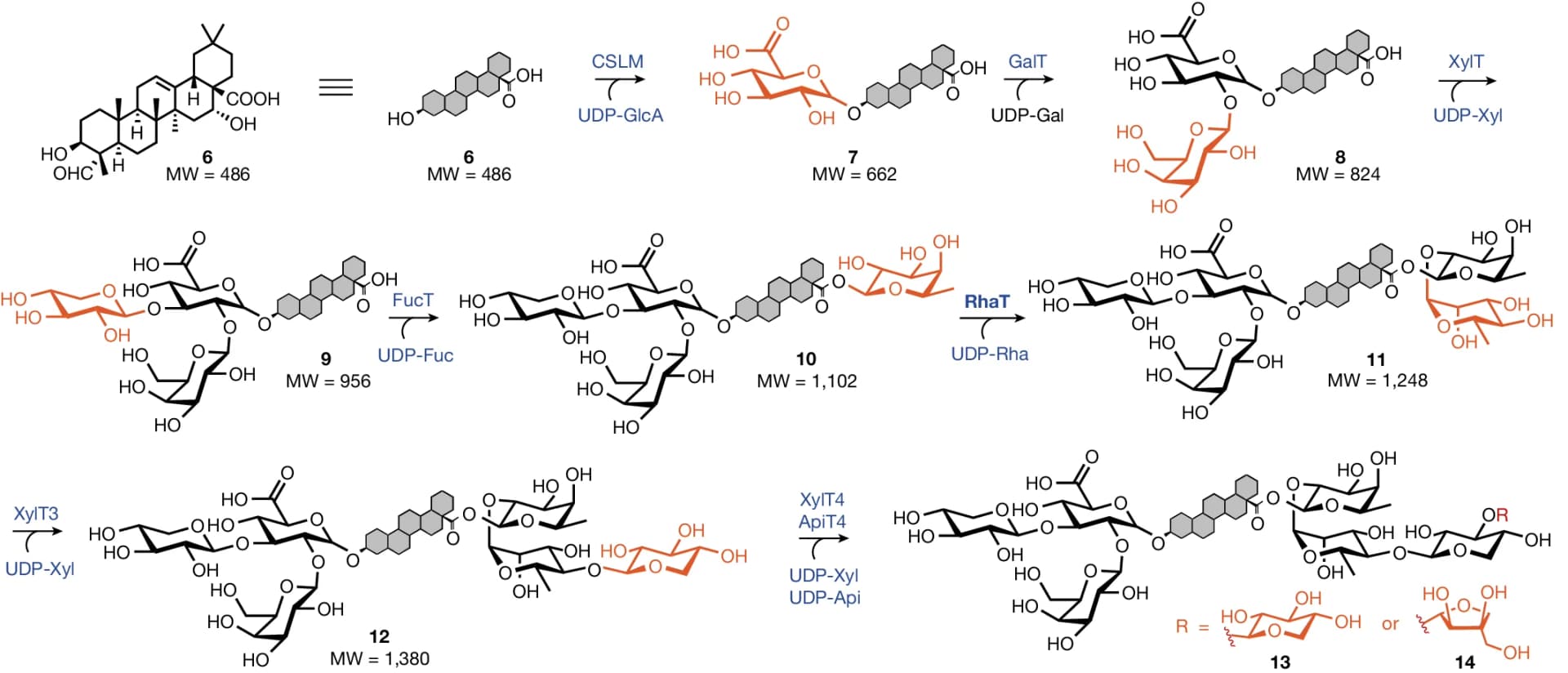 Open access visualization of Chemical Structure, Workflow, Trisaccharide, Tetrasaccharide, Carboxylic Acid