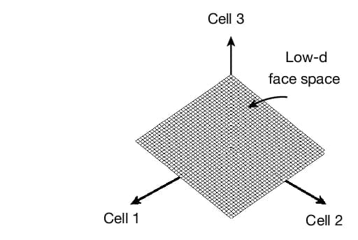 Open access visualization of 3D Plot, Face Representation, Feature Space, Attractors