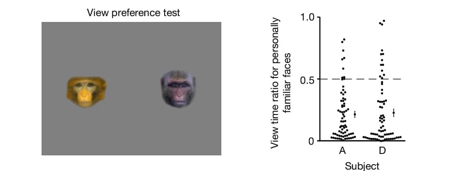 Open access visualization of Scatter Plot, Error Bars, View Preference Test, Familiar Faces, Unfamiliar Faces