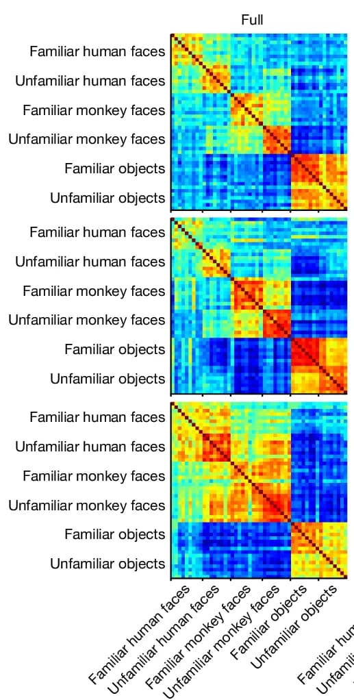 Open access visualization of Heatmap, Similarity Matrix, Population Responses, Pearson Correlation Coefficient, Full-Response Window