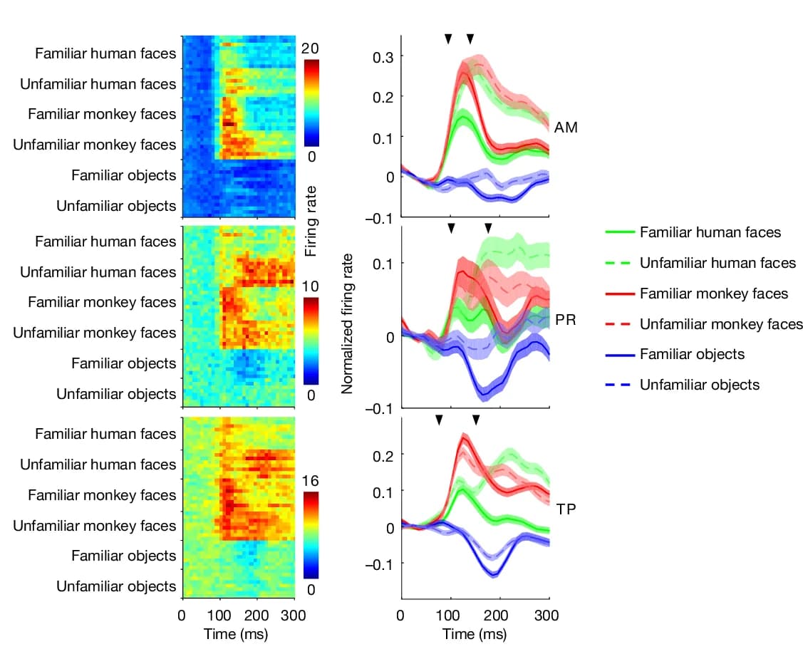 Open access visualization of Line Plot, Error Bars, Heatmap, Response Time Course, Visual Responses