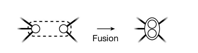 Open access visualization of Workflow, Flowchart, Illustration, Graphs, Cavity Assisted Fusion