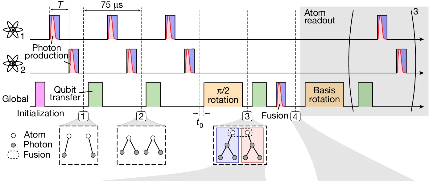 Open access visualization of Workflow, Illustration, Experimental Protocol, Ring-State Protocol, Atom Readout