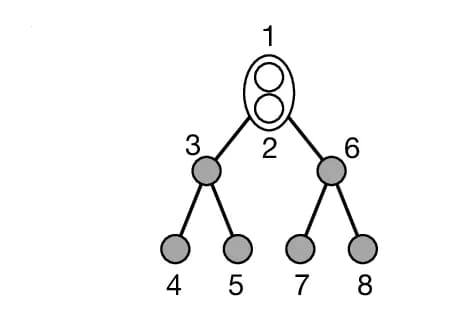 Open access visualization of Network, Pathway, Graph Representation, Multi-Qubit State