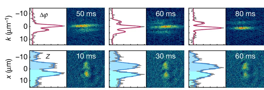 Open access visualization of Microscopy, Line Plot, Density Plot, Experimental Single Shots, 1D Profiles