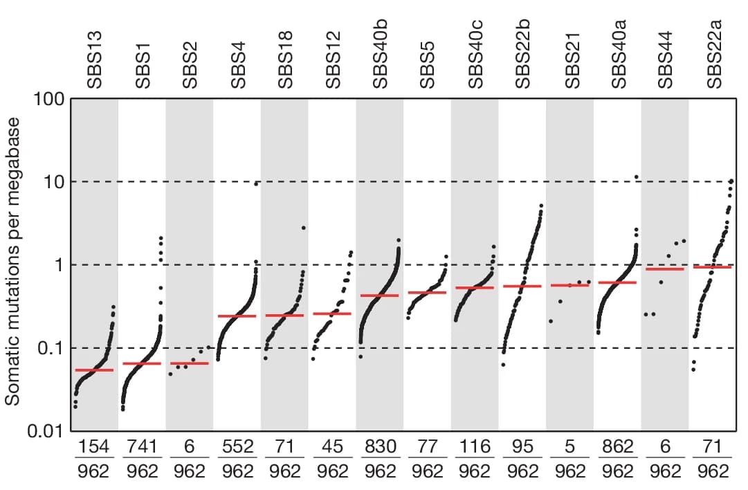 Open access visualization of Scatter Plot, TMB Plot, SBS Signatures, Mutations