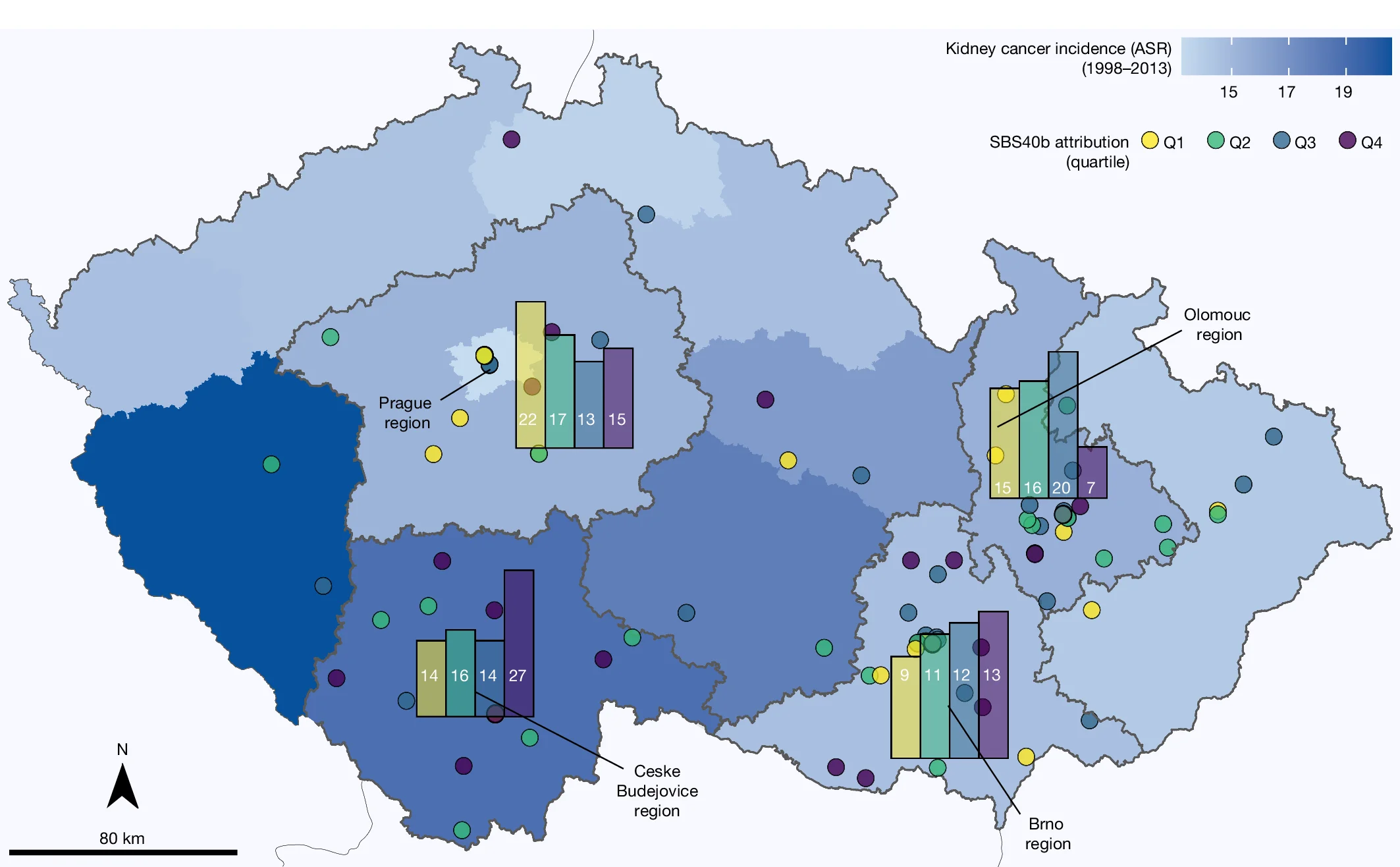 Open access visualization of Geo Map, Bar Plot, Clustered, SBS40b Signature, Czech Republic