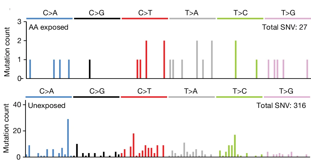 Open access visualization of Bar Plot, SBS-96 Mutational Spectra, VHL Mutations, ccRCC, Aristolochic Acid