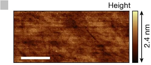 Open access visualization of Microscopy, Atomic Force Micrograph, LiTaO3 Thin Film
