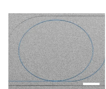 Open access visualization of Microscopy, Scanning Electron Micrograph, LTOI, Microring Resonator