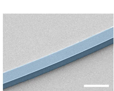 Open access visualization of Microscopy, Scanning Electron Micrograph, LTOI, Waveguide, Sidewall