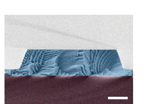 Open access visualization of Microscopy, Scanning Electron Micrograph, LTOI, Waveguide, SiO2 Bottom Cladding