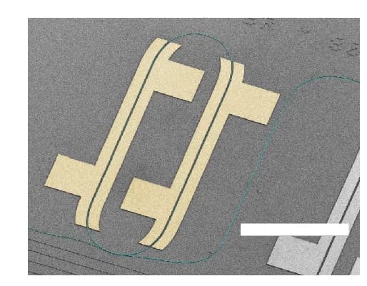 Open access visualization of Microscopy, Scanning Electron Microscopy, Microresonator, Electrodes