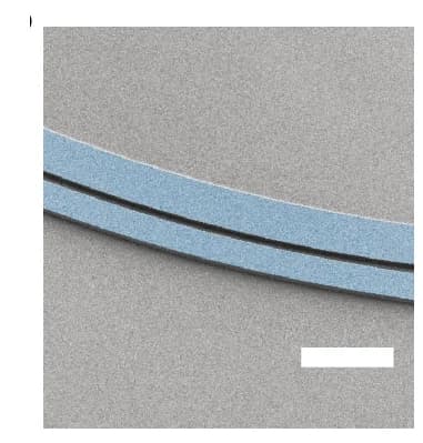 Open access visualization of Microscopy, Photo, Scanning Electron Microscopy, Resonator, Waveguide