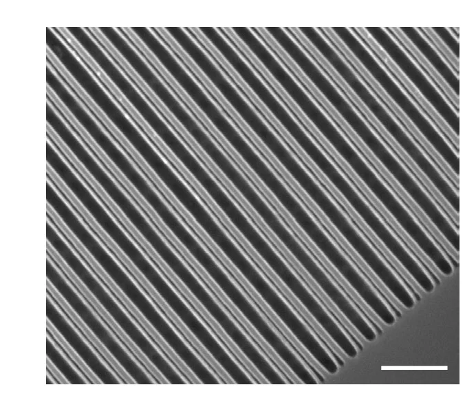 Open access visualization of Microscopy, Scanning Electron Microscope, Metasurfaces
