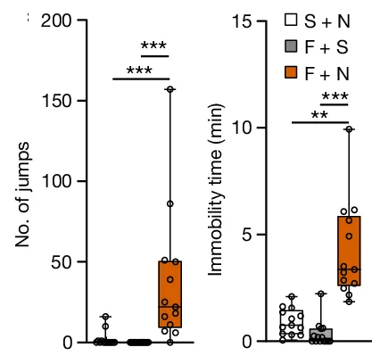 Open access visualization of Box Plot, Scatter Plot, Jumps, Immobility Time, Dependent Mice