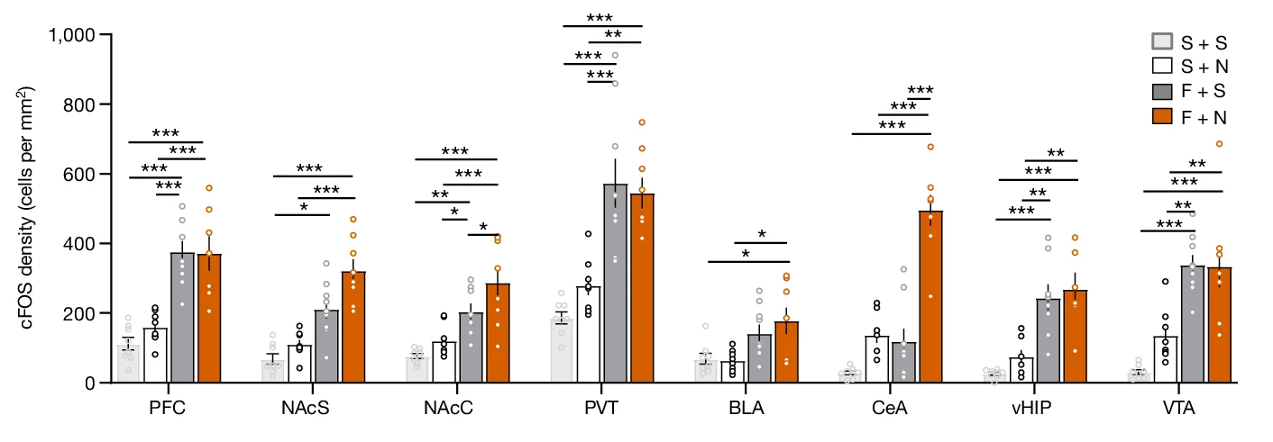 Open access visualization of Bar Plot, Error Bars, Scatter Plot, cFOS-positive Cells, Brain Areas