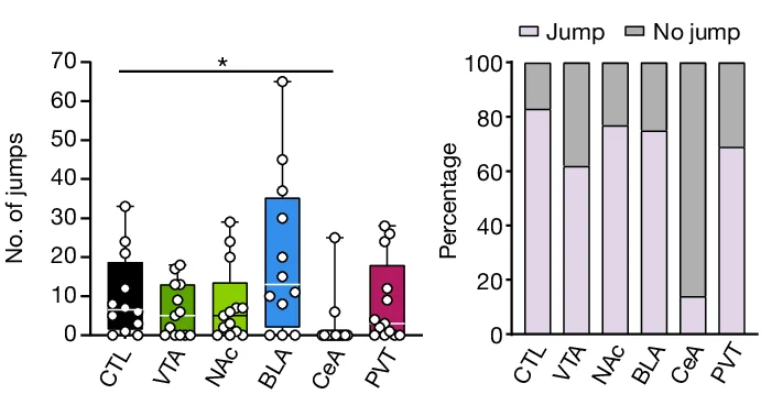 Open access visualization of Bar Plot, Box Plot, Stacked Bar Plot, Jumps, Immobility