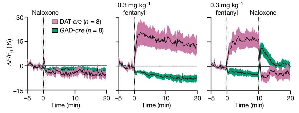 Open access visualization of Line Plot, Error Bars, Calcium Signal, Dopamine Neurons, GABA Neurons