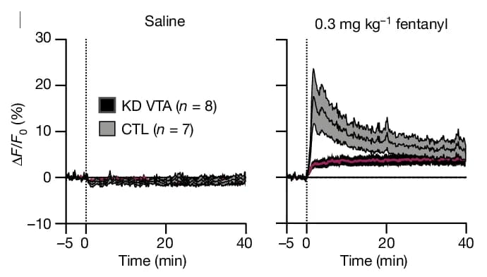 Open access visualization of Line Plot, Error Bars, Accumbal dLight Signal, µORs Deletion, VTA